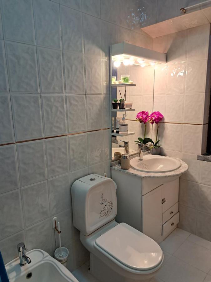 Beja Garden Apartamento Com Terraco Privado エクステリア 写真