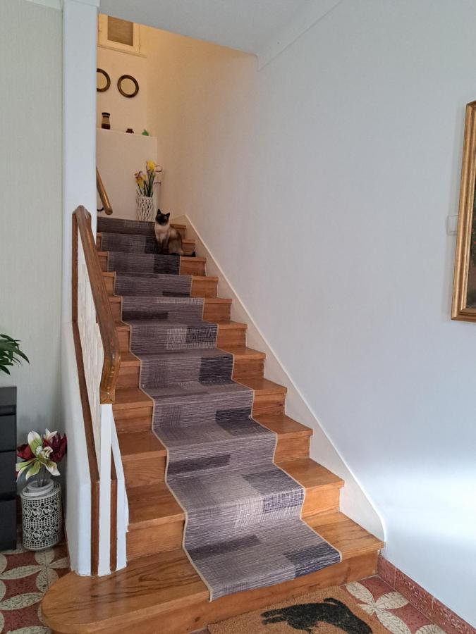 Beja Garden Apartamento Com Terraco Privado エクステリア 写真